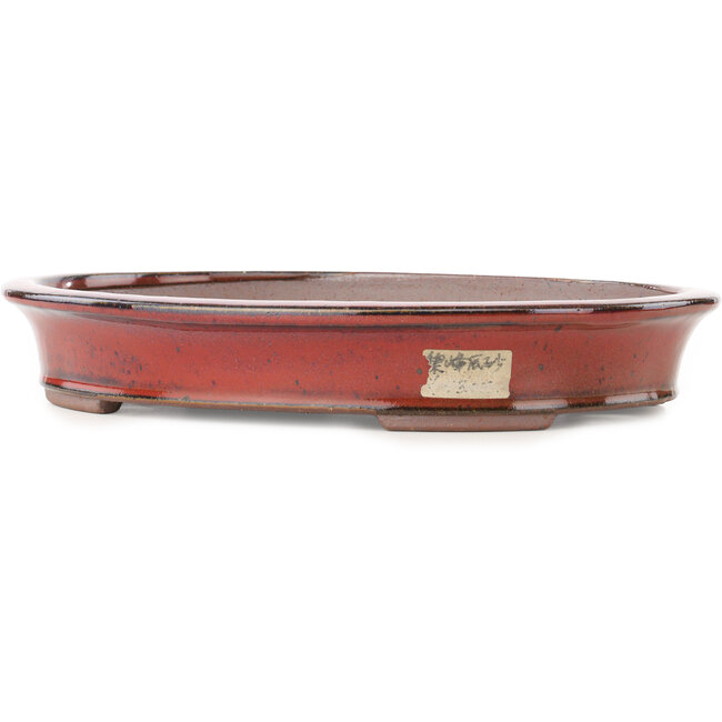 Ovale rode bonsai pot van Reiho - 320 x 252 x 52 mm