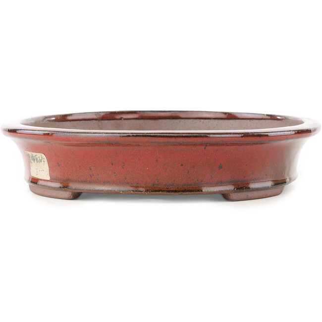 Maceta ovalada para bonsái de color rojo de Reiho - 320 x 252 x 52 mm