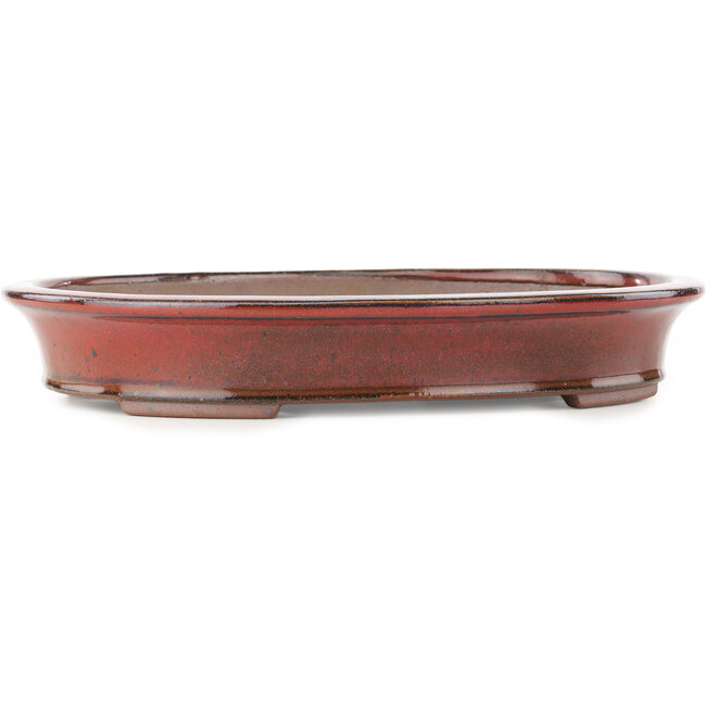 Ovale rode bonsai pot van Reiho - 320 x 252 x 52 mm