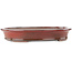 Vaso bonsai ovale rosso di Reiho - 320 x 252 x 52 mm