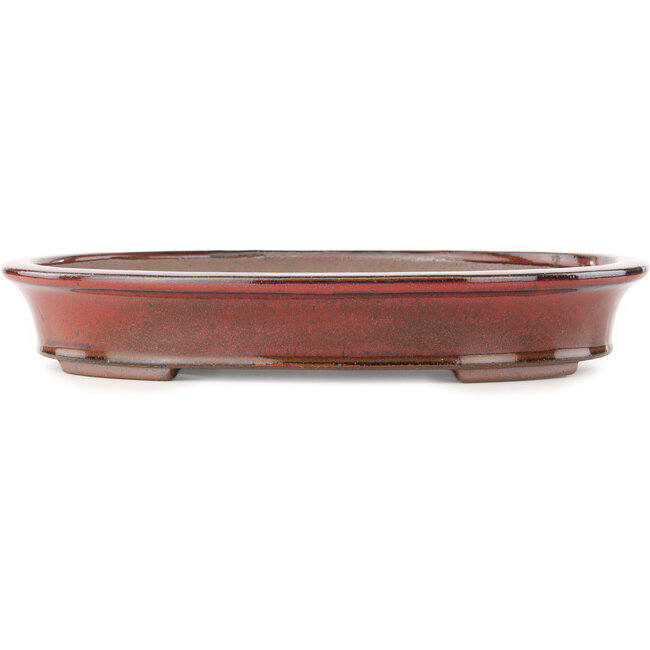 Vaso bonsai ovale rosso di Reiho - 320 x 252 x 52 mm