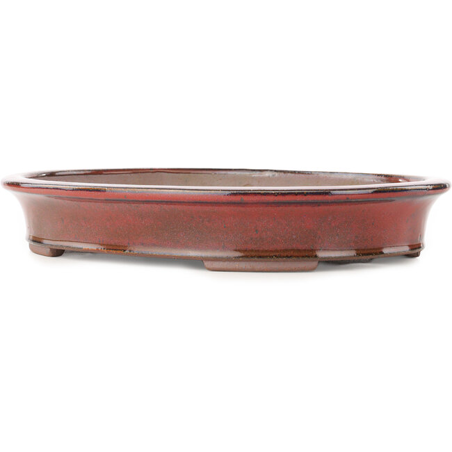 Ovale rode bonsai pot van Reiho - 320 x 252 x 52 mm