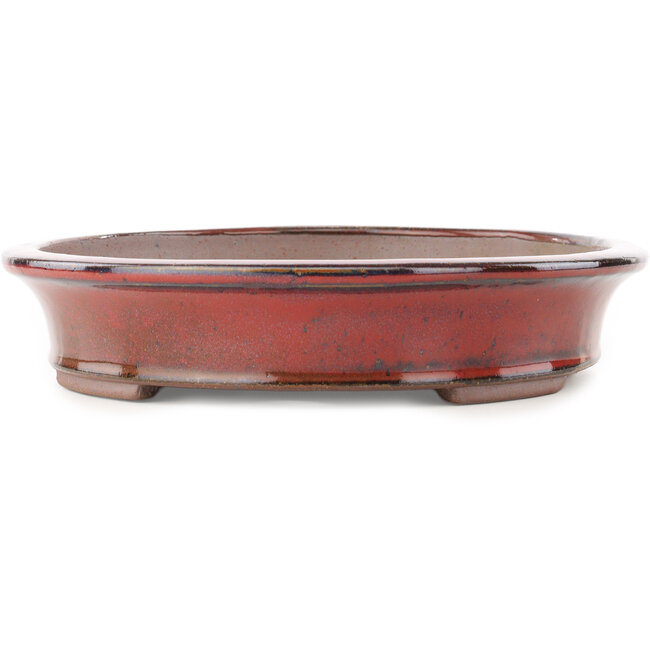 Pot à bonsaï ovale rouge de Reiho - 320 x 252 x 52 mm