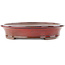 Oval red bonsai pot by Reiho - 320 x 252 x 52 mm
