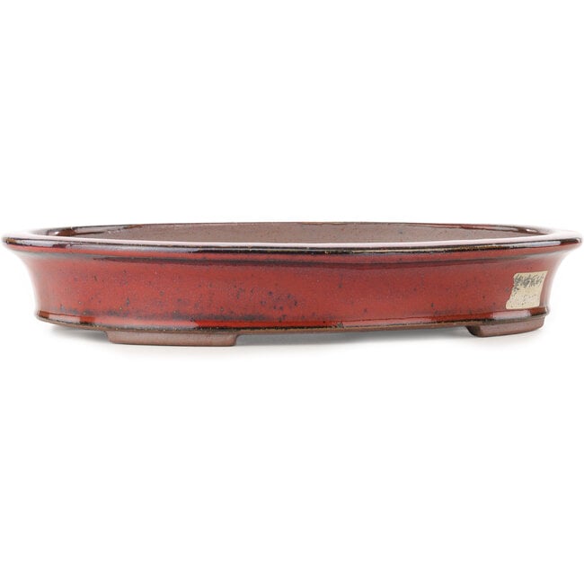 Oval red bonsai pot by Reiho - 320 x 252 x 52 mm