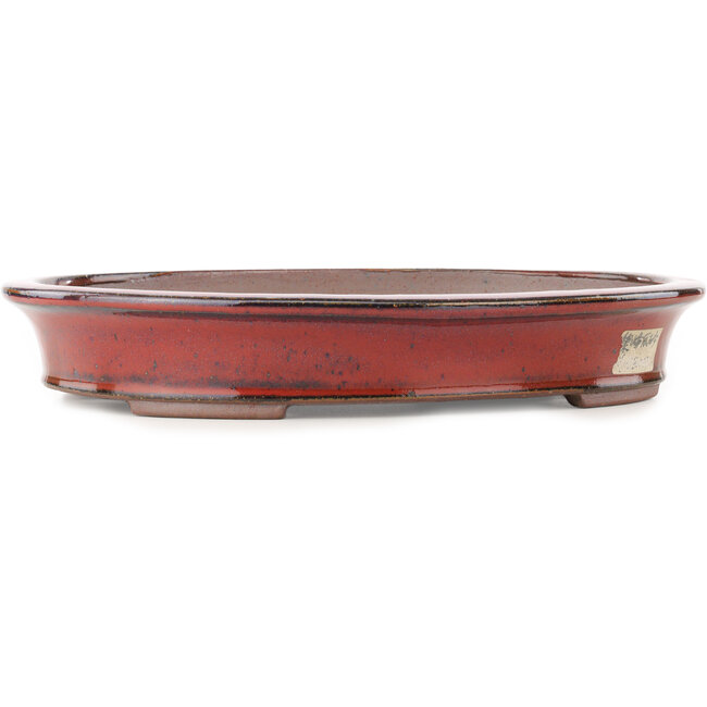 Pot à bonsaï ovale rouge de Reiho - 320 x 252 x 52 mm