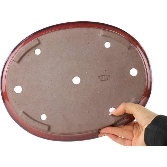 Maceta ovalada para bonsái de color rojo de Reiho - 320 x 252 x 52 mm
