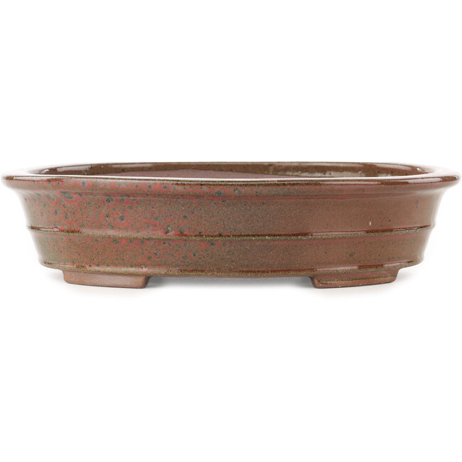 Ovale bruine bonsai pot van Reiho - 260 x 210 x 60 mm