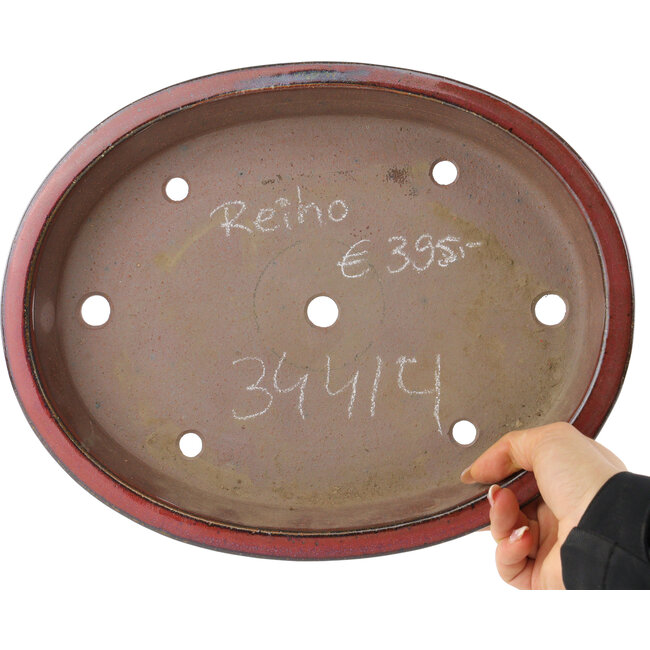 Vaso bonsai ovale rosso di Reiho - 320 x 252 x 52 mm