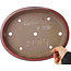 Oval red bonsai pot by Reiho - 320 x 252 x 52 mm