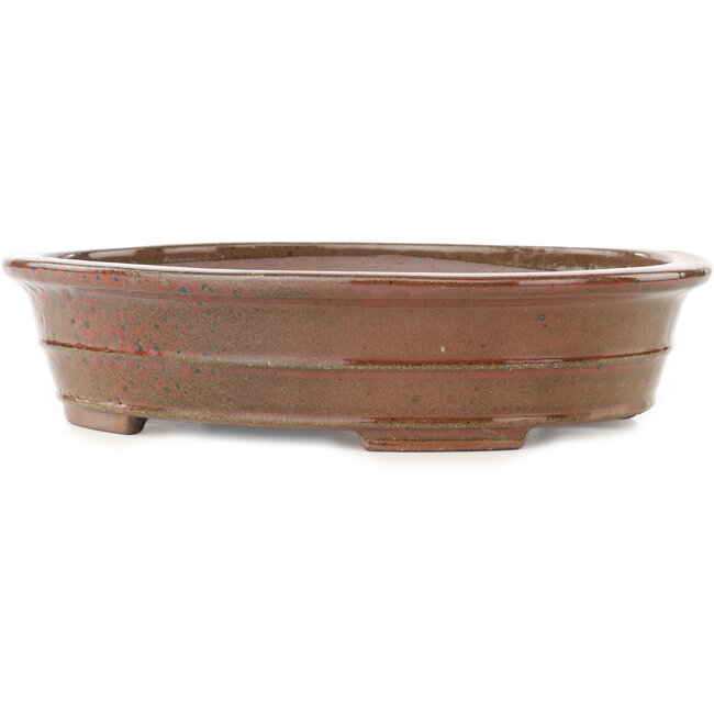Pot à bonsaï ovale marron de Reiho - 260 x 210 x 60 mm