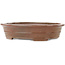 Vaso bonsai ovale marrone di Reiho - 260 x 210 x 60 mm