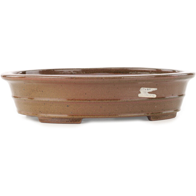 Pot à bonsaï ovale marron de Reiho - 260 x 210 x 60 mm