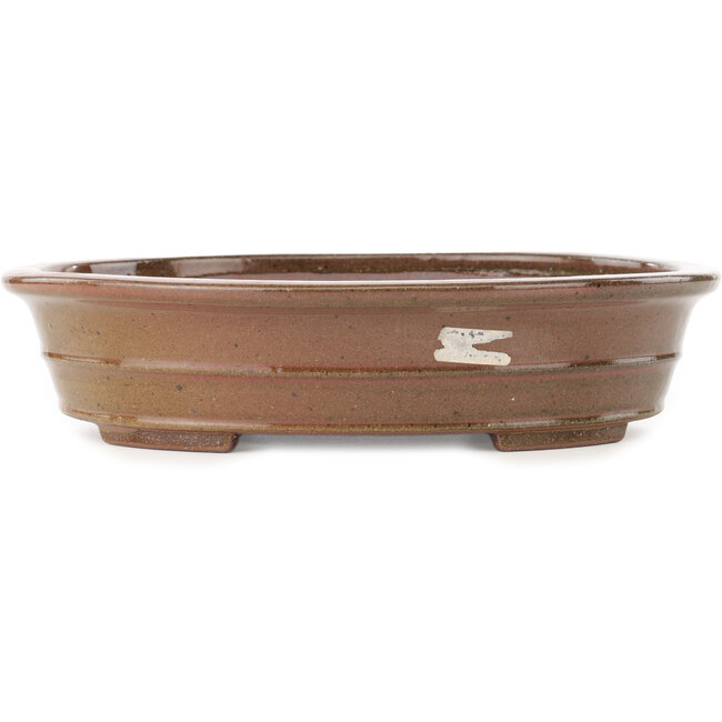 Oval brown bonsai pot by Reiho - 260 x 210 x 60 mm