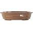 Ovale bruine bonsai pot van Reiho - 260 x 210 x 60 mm