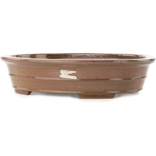 Pot à bonsaï ovale marron de Reiho - 260 x 210 x 60 mm