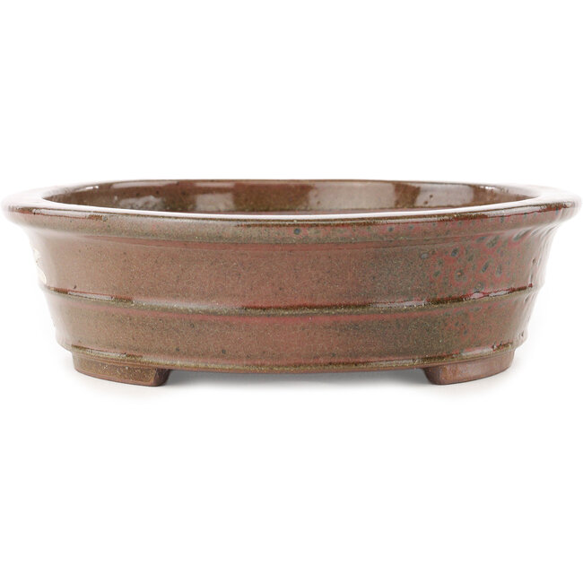 Maceta ovalada marrón para bonsái de Reiho - 260 x 210 x 60 mm
