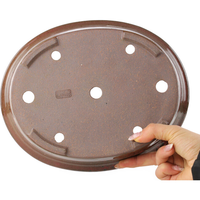 Maceta ovalada marrón para bonsái de Reiho - 260 x 210 x 60 mm