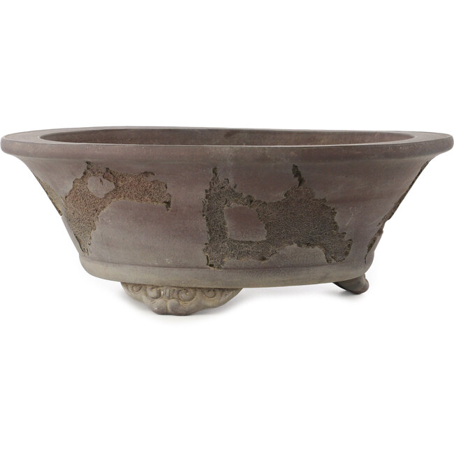 Vaso bonsai rotondo non smaltato di Yamaaki Koshosen (prima generazione) - 450 x 450 x 165 mm