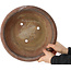 Round unglazed bonsai pot by Nakawatari - 315 x 315 x 120 mm