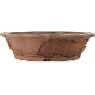  Yamaaki Vaso bonsai di loto non smaltato da 400 mm di Yamaaki Koshosen (prima generazione), Tokoname, Giappone