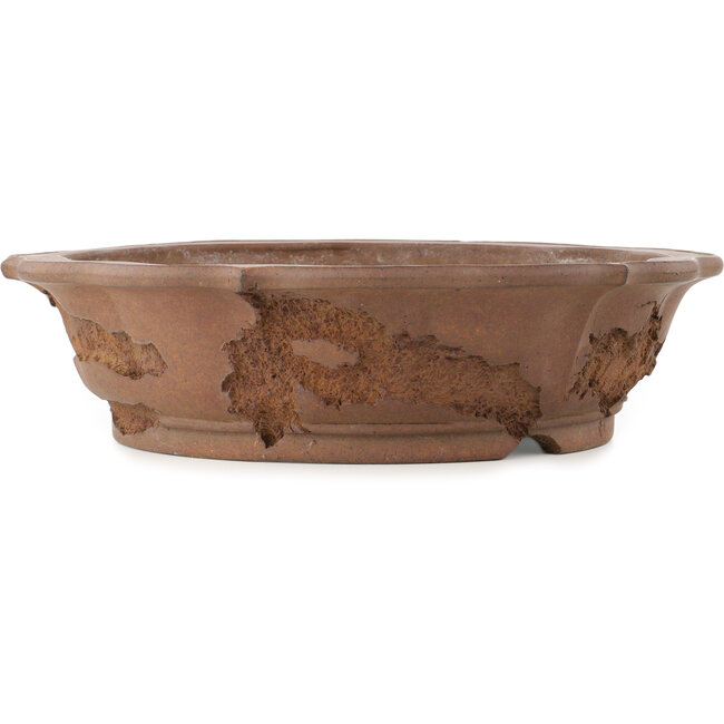 Lotus ongeglazuurde bonsai pot van Yamaaki Koshosen (eerste generatie) - 400 x 400 x 105 mm