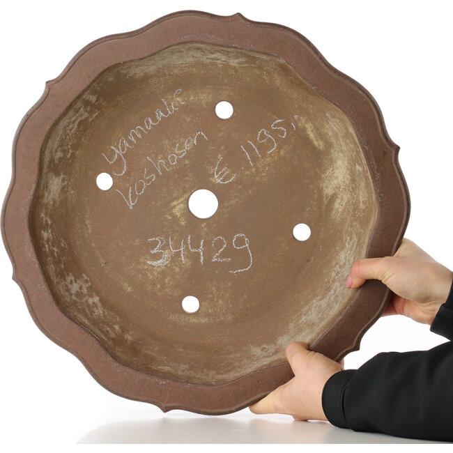 Pot à bonsaï Lotus non émaillé de Yamaaki Koshosen (première génération) - 400 x 400 x 105 mm