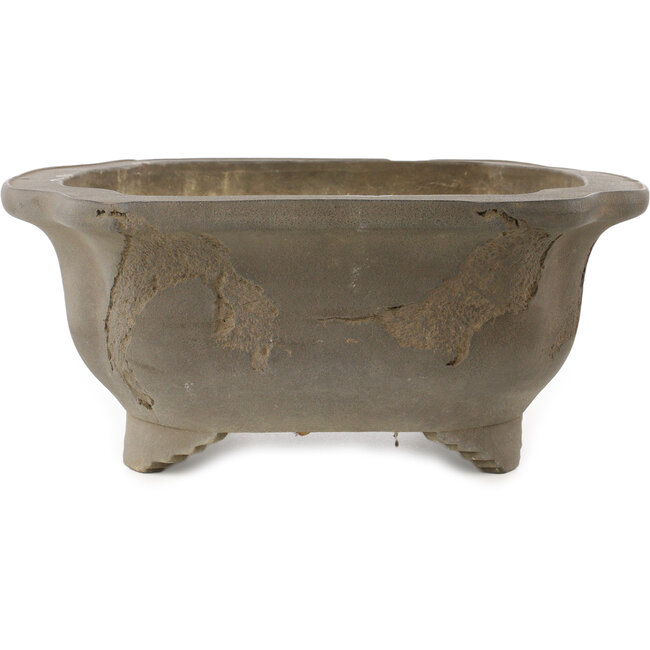 Vaso bonsai Mokko non smaltato di Yamaaki Koshosen (prima generazione) - 450 x 385 x 165 mm