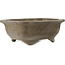 Vaso bonsai Mokko non smaltato di Yamaaki Koshosen (prima generazione) - 450 x 385 x 165 mm