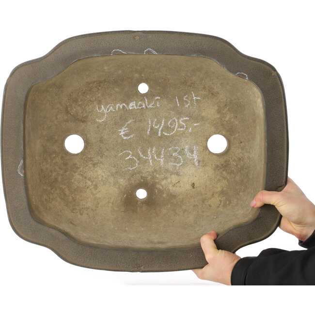 Vaso bonsai Mokko non smaltato di Yamaaki Koshosen (prima generazione) - 450 x 385 x 165 mm