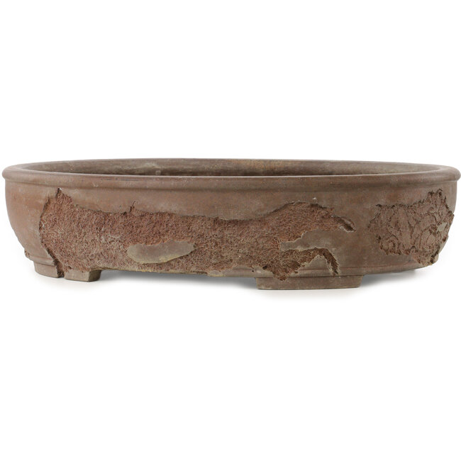 Pot à bonsaï ovale non émaillé de Yamaaki Koshosen (première génération) - 525 x 440 x 115 mm
