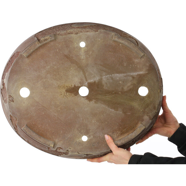 Pot à bonsaï ovale non émaillé de Yamaaki Koshosen (première génération) - 525 x 440 x 115 mm