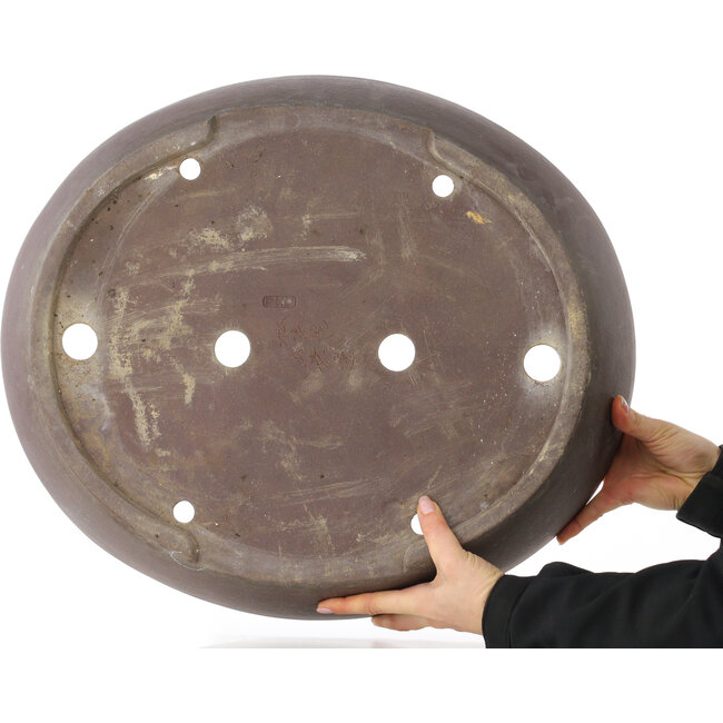 Pot à bonsaï ovale non émaillé de Yamaaki - 535 x 457 x 118 mm