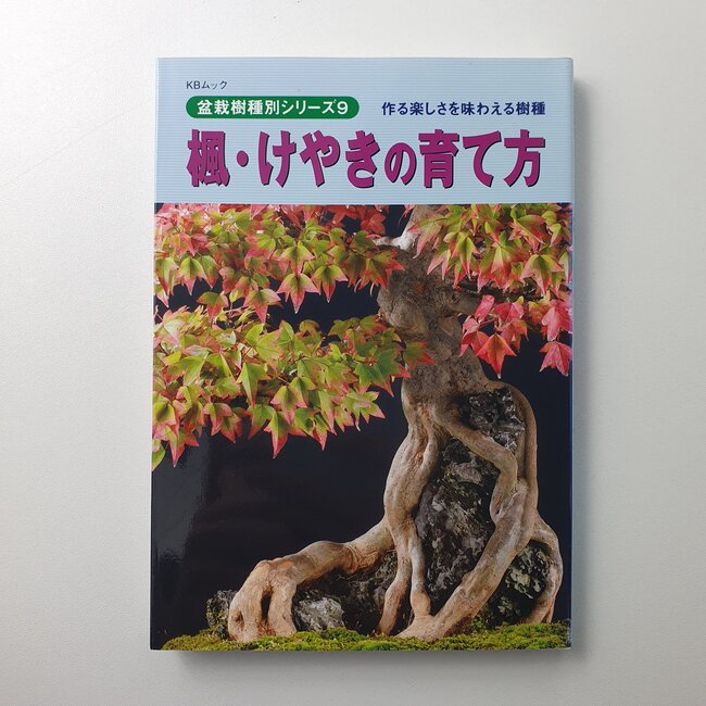 Manuale del bonsai di Acer Buergerianum