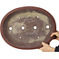 Oval unglazed bonsai pot by Yamaaki - 470 x 357 x 105 mm