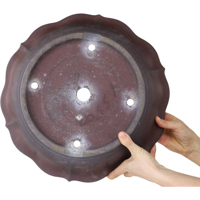 Lotus unglazed bonsai pot by Yamaaki - 385 x 385 x 95 mm