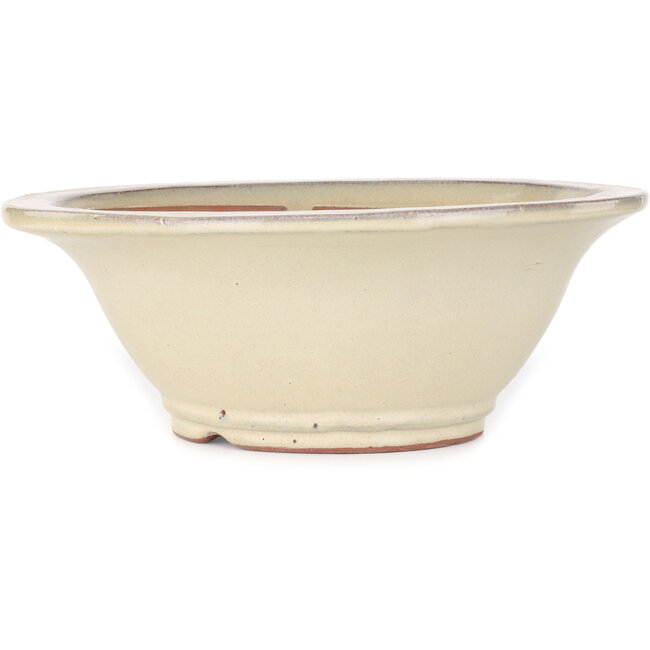 Vaso bonsai rotondo beige - 352 x 352 x 132 mm