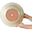 Maceta redonda beige para bonsái - 352 x 352 x 132 mm