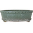 Drumpot green bonsai pot - 325 x 325 x 110 mm