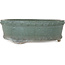 Drumpot green bonsai pot - 325 x 325 x 110 mm
