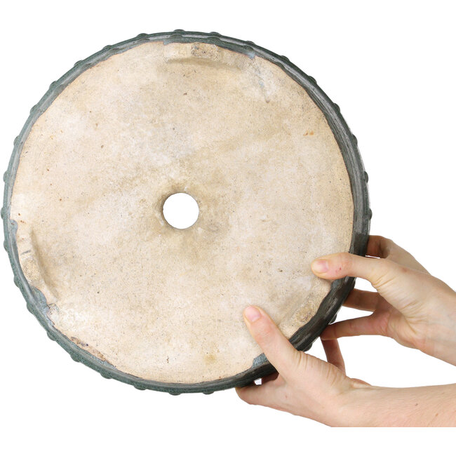 Drumpot grüner Bonsaitopf - 325 x 325 x 110 mm