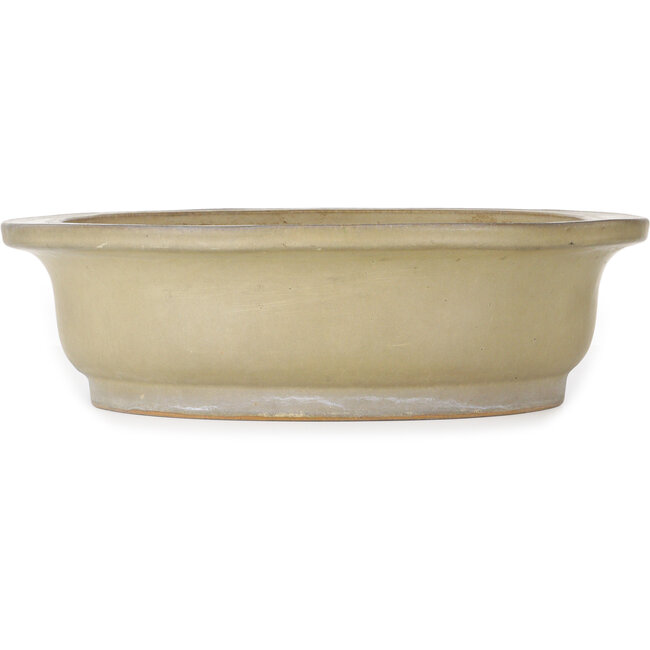Maceta ovalada beige para bonsái de Reiho - 580 x 480 x 130 mm