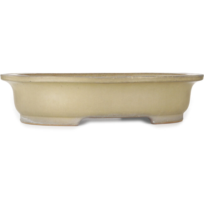 Pot à bonsaï ovale beige de Reiho - 580 x 480 x 130 mm