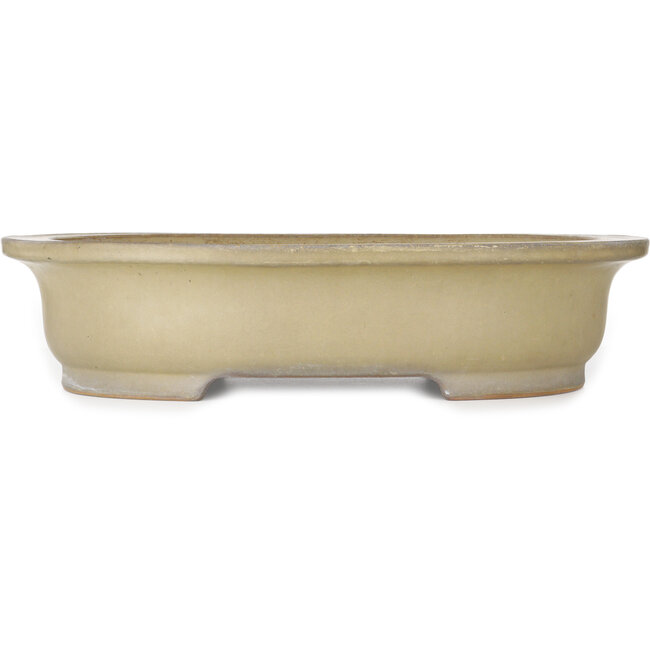 Pot à bonsaï ovale beige de Reiho - 580 x 480 x 130 mm