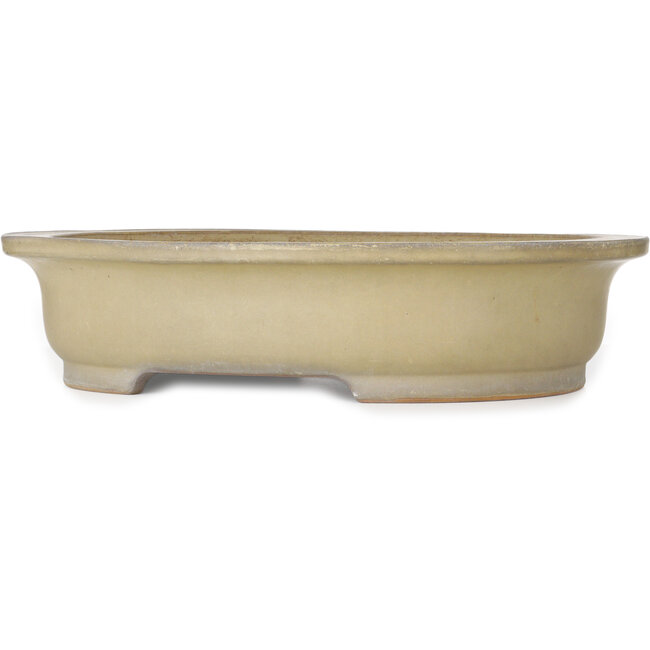 Ovale beige bonsaipot van Reiho - 580 x 480 x 130 mm