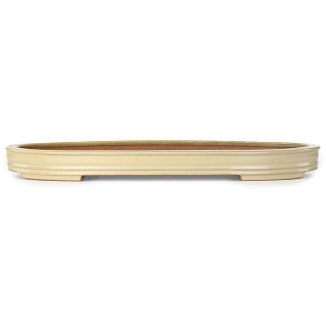 Oval beige bonsai pot by Reiho - 545 x 370 x 50 mm