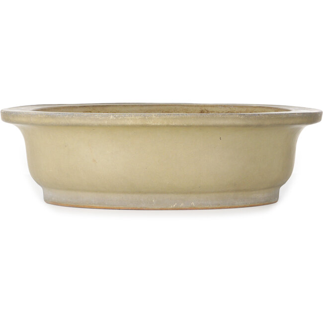 Vaso bonsai ovale beige di Reiho - 580 x 480 x 130 mm