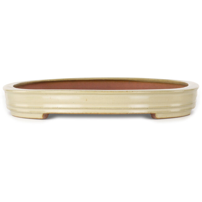 Oval beige bonsai pot by Reiho - 545 x 370 x 50 mm