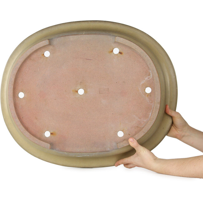 Pot à bonsaï ovale beige de Reiho - 580 x 480 x 130 mm