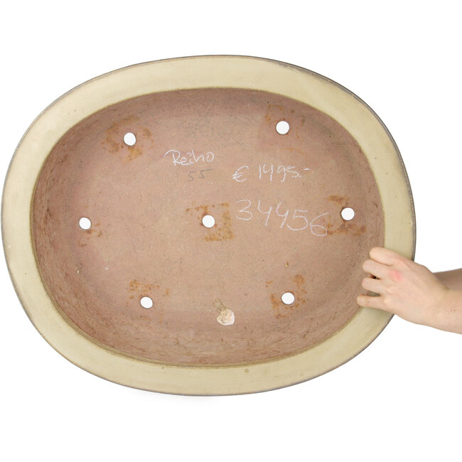 Oval beige bonsai pot by Reiho - 580 x 480 x 130 mm